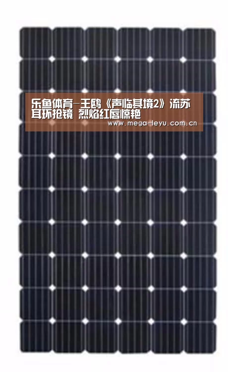 乐鱼体育-王鸥《声临其境2》流苏耳环抢镜 烈焰红唇惊艳(图1)