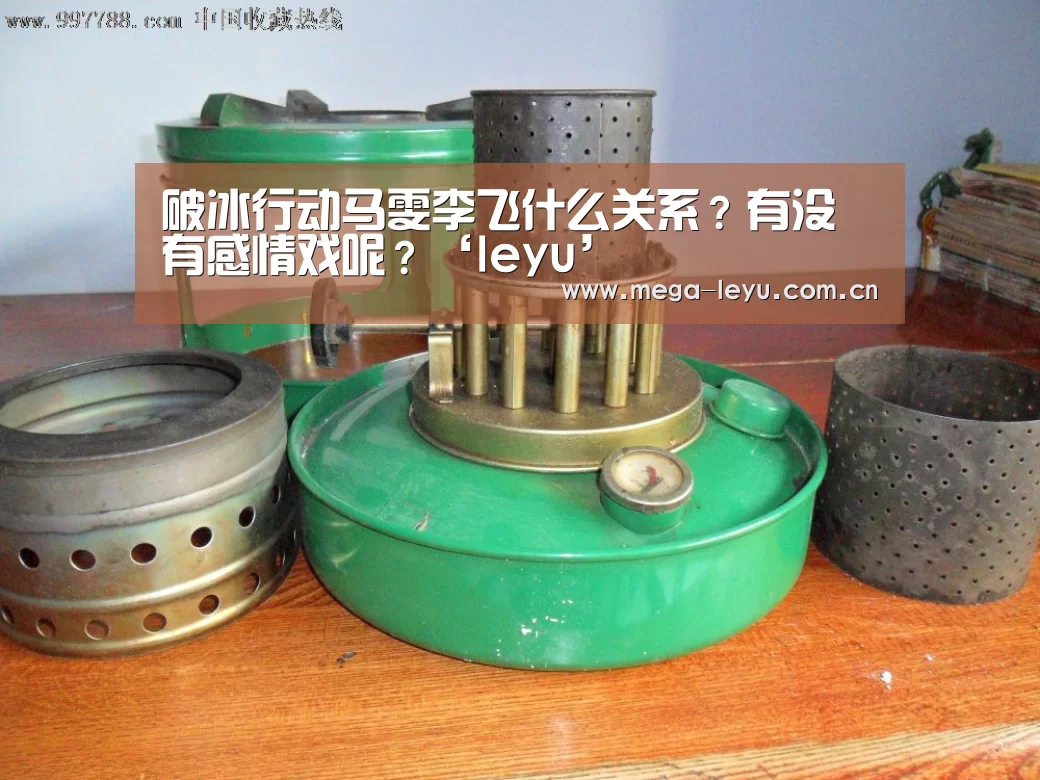 破冰行动马雯李飞什么关系?有没有感情戏呢?‘leyu’(图2) 乐鱼体育